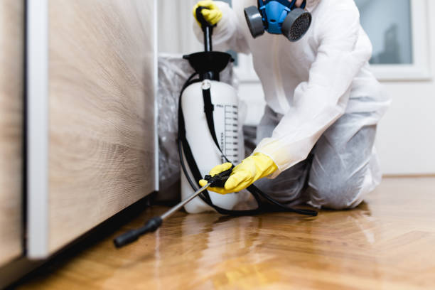 Best Wasp Removal Services  in Thonotosassa, FL