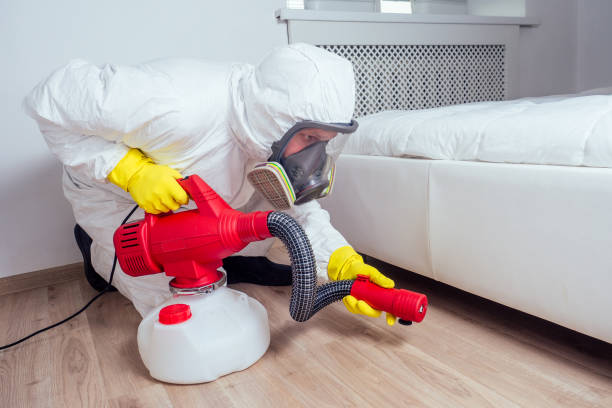 Best Mosquito Control Services  in Thonotosassa, FL