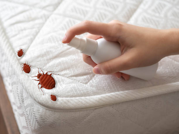 Best Bed Bug Extermination  in Thonotosassa, FL