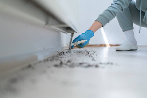 Professional Pest Control in Thonotosassa, FL